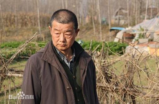 高清车晓彤图片