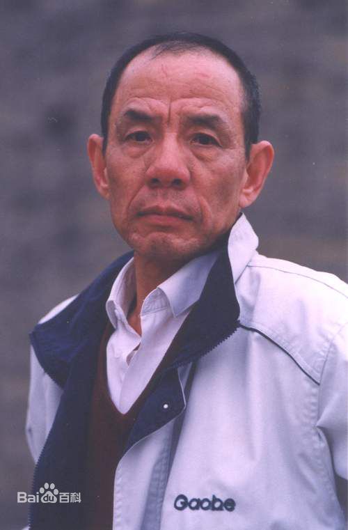 高清魏宗万精彩图册