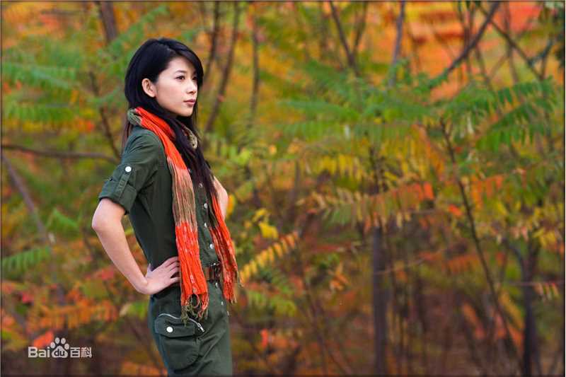 张雨提高清雨提图册