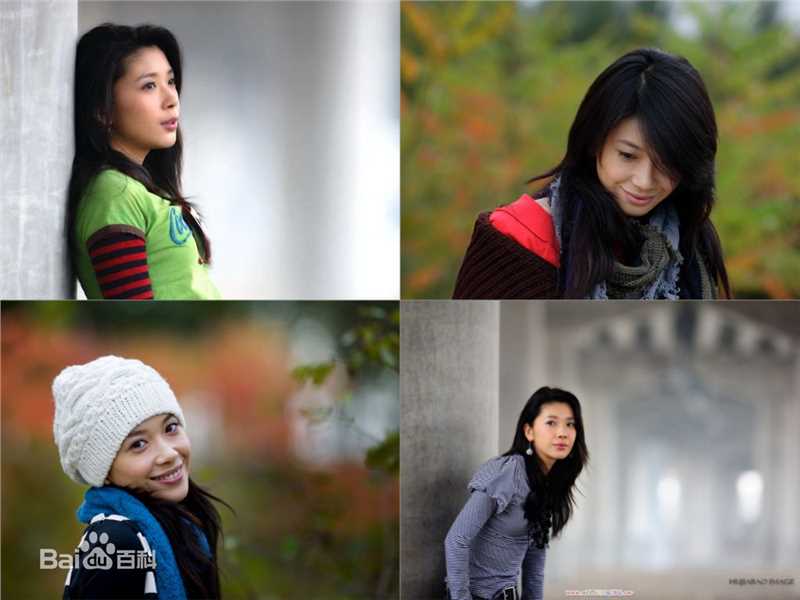 张雨提高清雨提图册