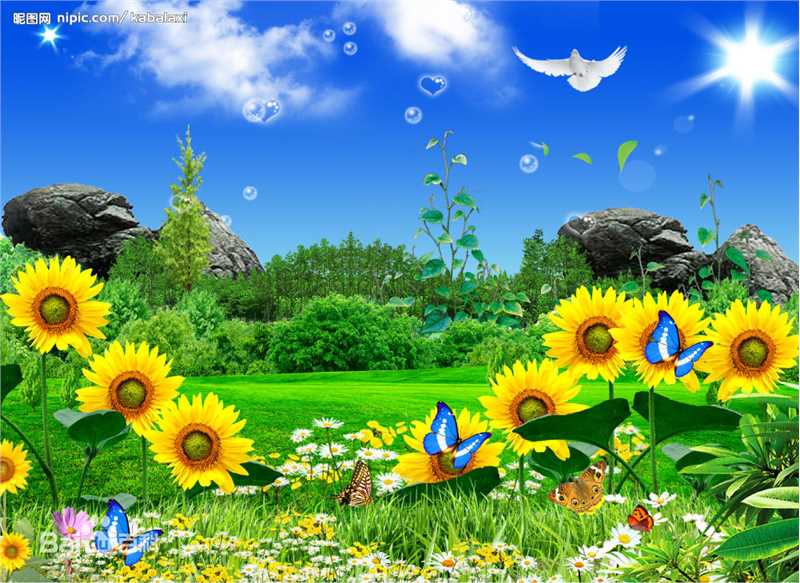 最新张雨提性感图片