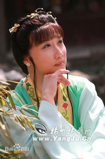 精选吴军(Wu Jun)在扬剧电视剧《十把穿金扇》中的图册