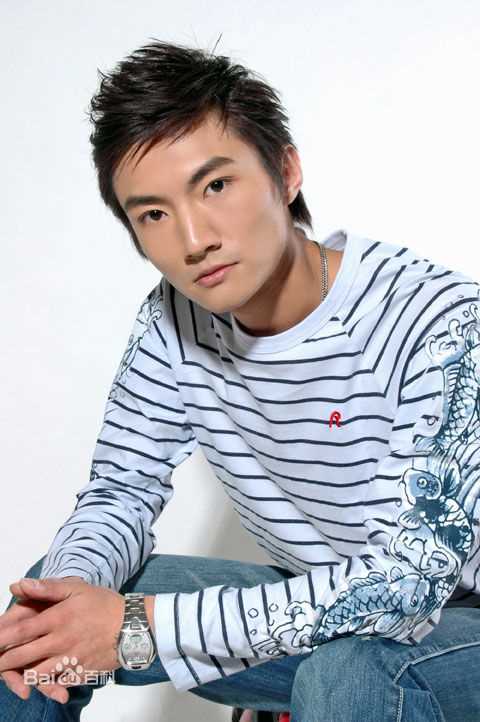 贾延龙平面最全海报壁纸