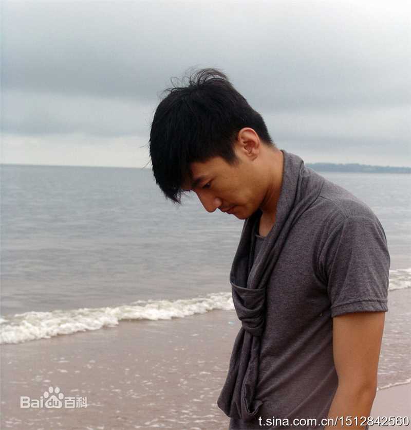 贾延龙平面最全海报壁纸