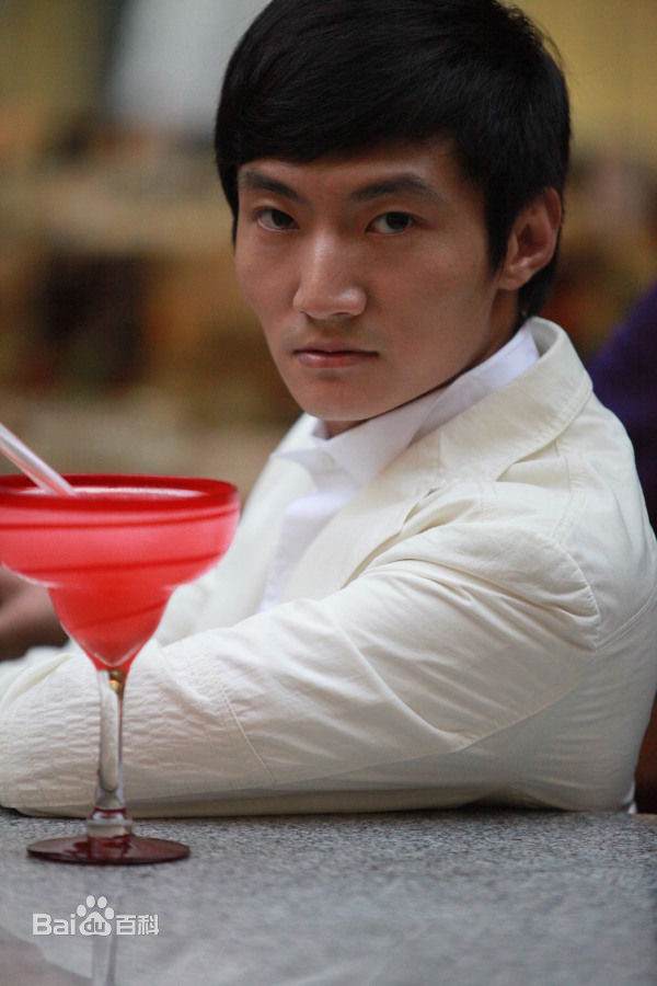 贾延龙平面最全海报壁纸