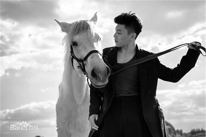 代旭最新时尚壁纸