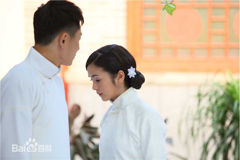 方慧电视剧《第九个寡妇》最优质剧照