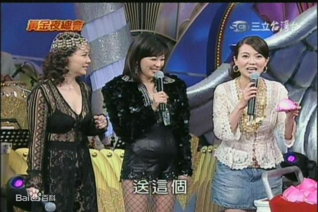 苗可丽主持人照性感图片图集