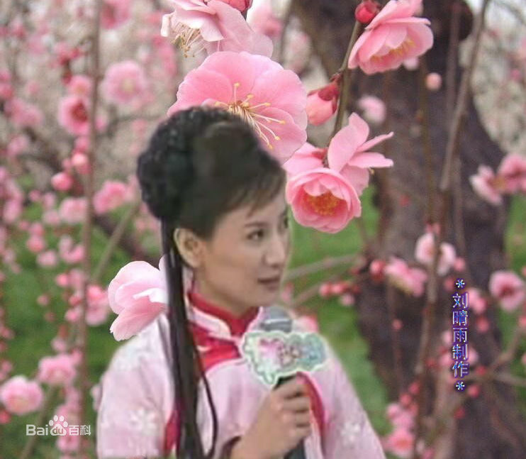 陈亚兰(YarLanChen)亚兰图片图集