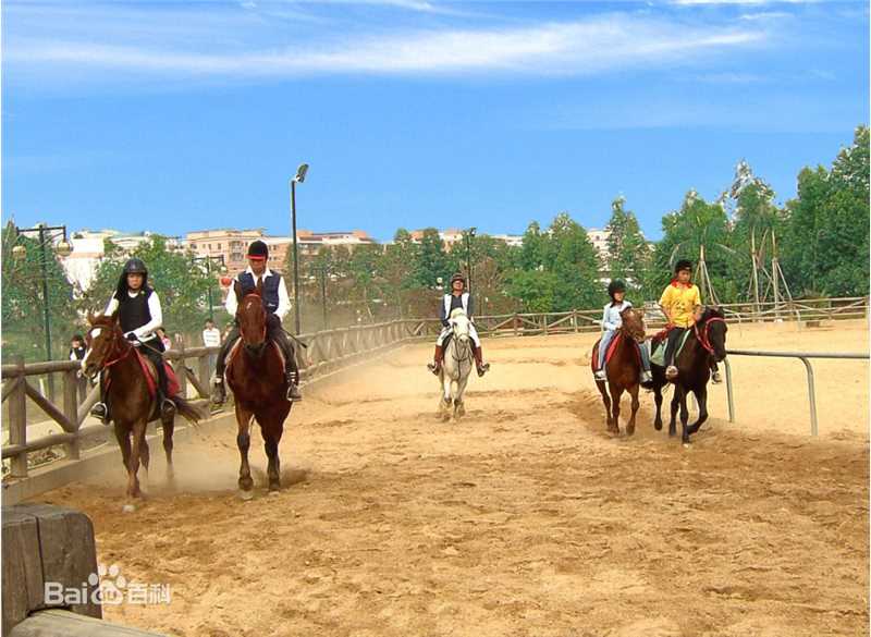 高清宋逸民性感图片