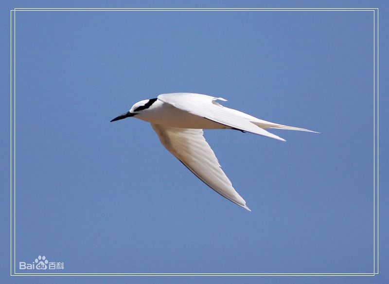 最优质姜厚任生活照