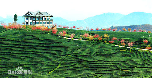 最优质缪婷茹生活照