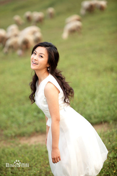 刘芳毓最全集壁纸