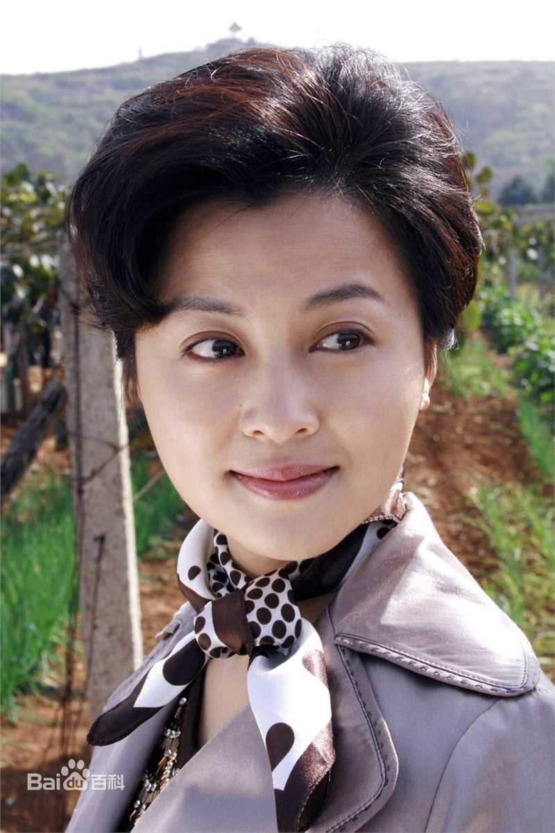 刘芳毓的高清剧照