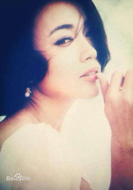 王艺禅最新复古集壁纸