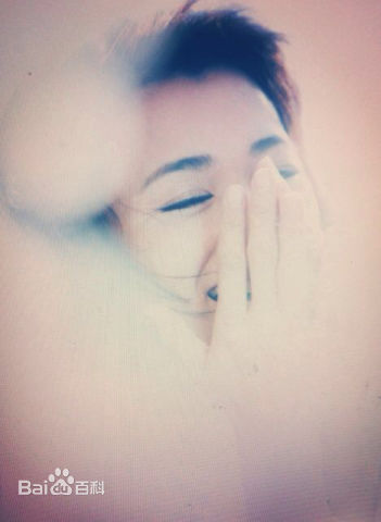 王艺禅最新复古集壁纸