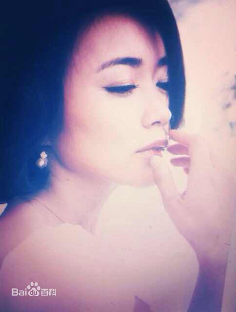 王艺禅最新复古集壁纸