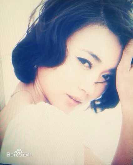 王艺禅最新复古集壁纸