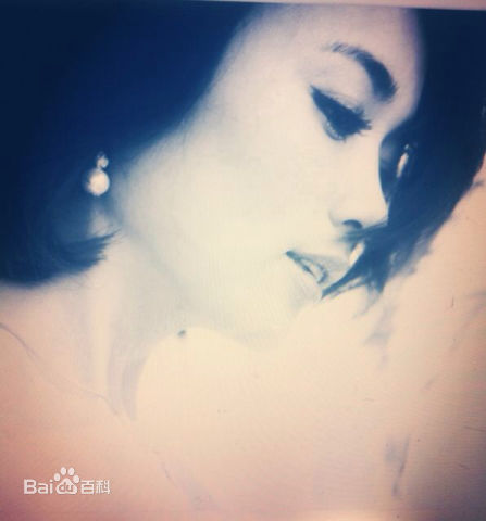 王艺禅最新复古集壁纸