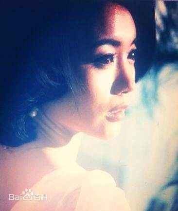 王艺禅最新复古集壁纸