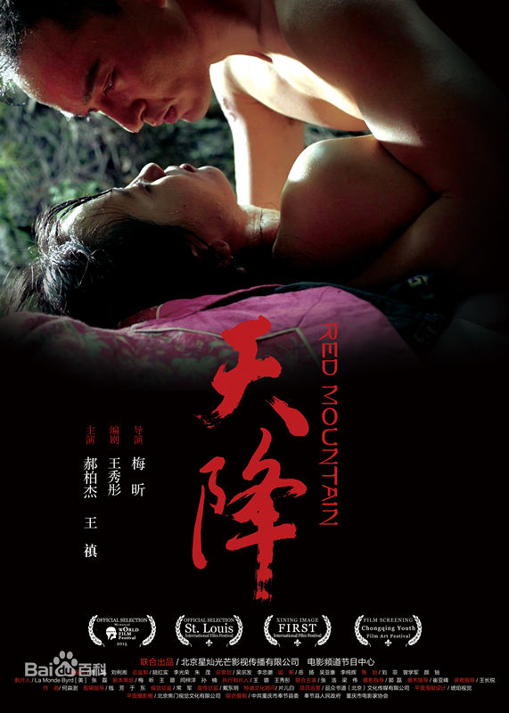 高清郝柏(bó)杰在《天降》中的图册