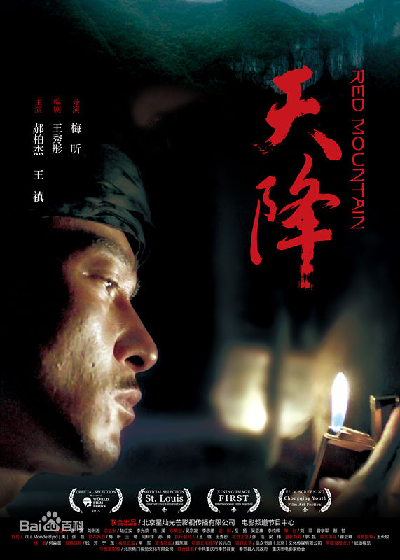 高清郝柏(bó)杰在《天降》中的图册