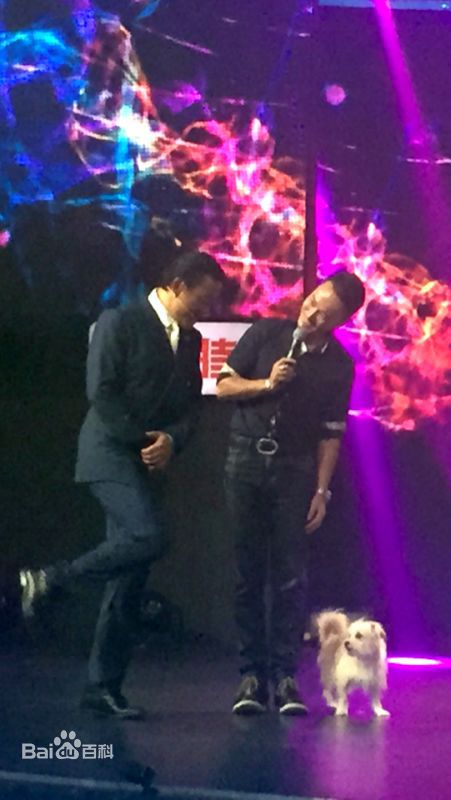 精选郝柏(bó)杰在浙江卫视《中国梦想秀》中的图册