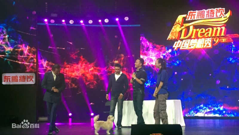 精选郝柏(bó)杰在浙江卫视《中国梦想秀》中的图册