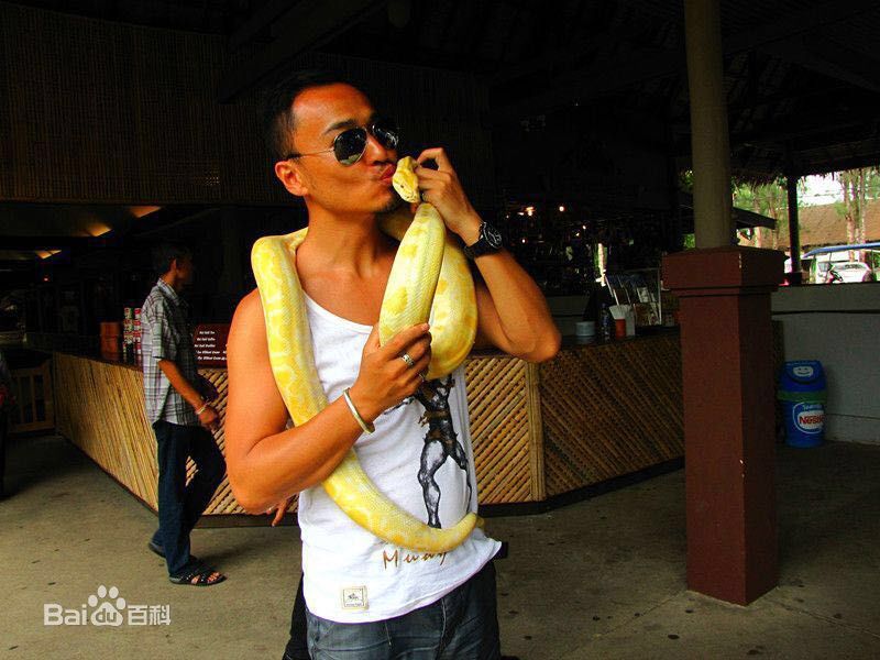 郝柏(bó)杰柏杰游记1图片图集