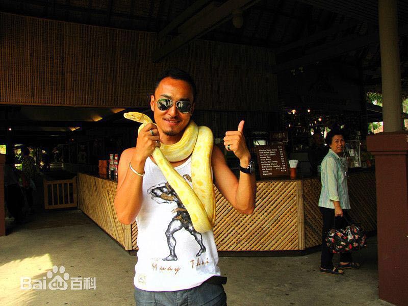 郝柏(bó)杰柏杰游记1图片图集