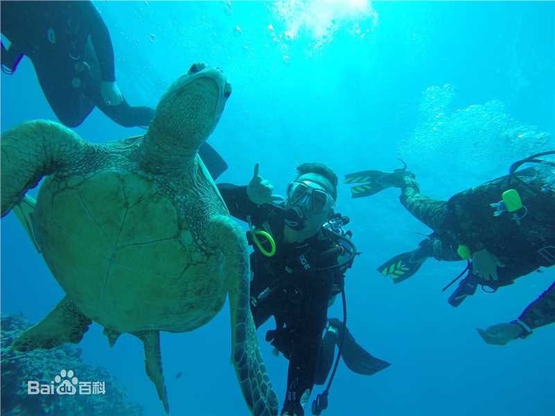 郝柏(bó)杰柏杰游记2前后照片