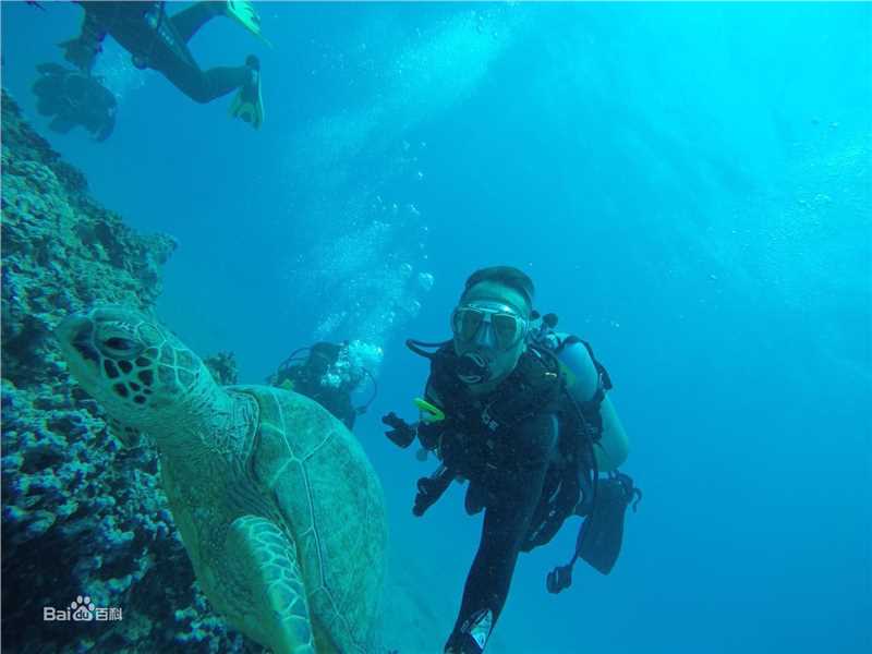 郝柏(bó)杰柏杰游记2前后照片