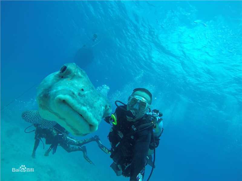 郝柏(bó)杰柏杰游记2前后照片
