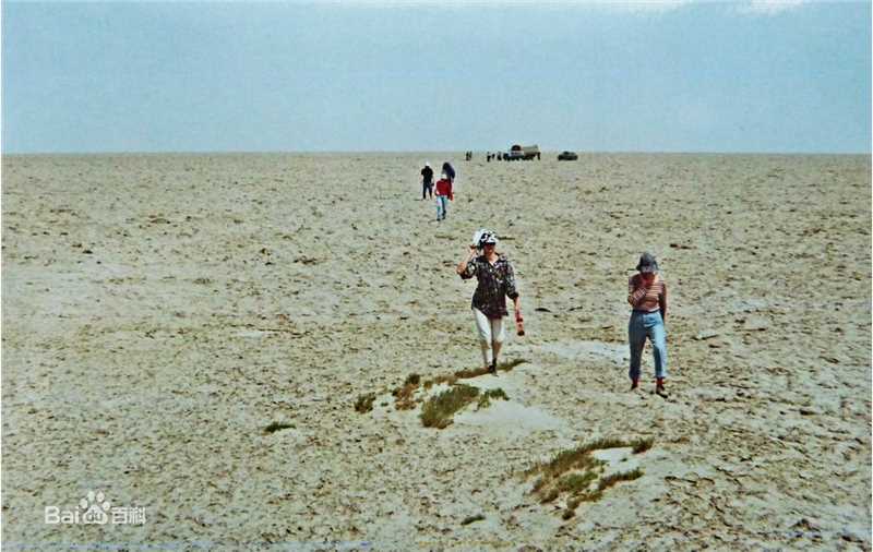 赵启强寻找彭加木资料壁纸壁纸