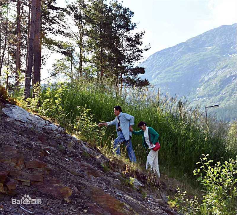 姬麒麟照片前后照片