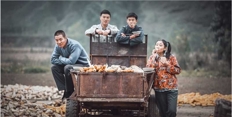 荆浩《岁岁年年柿柿红》高清剧照