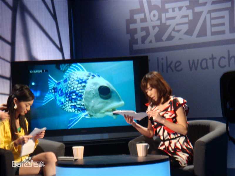 芦 菲(luffie)芦菲我爱看电视主持壁纸壁纸