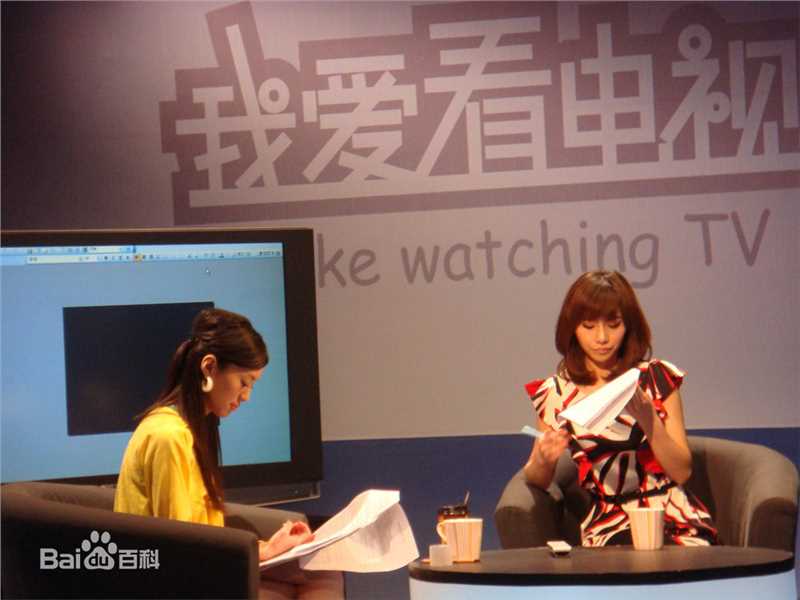 芦 菲(luffie)芦菲我爱看电视主持壁纸壁纸