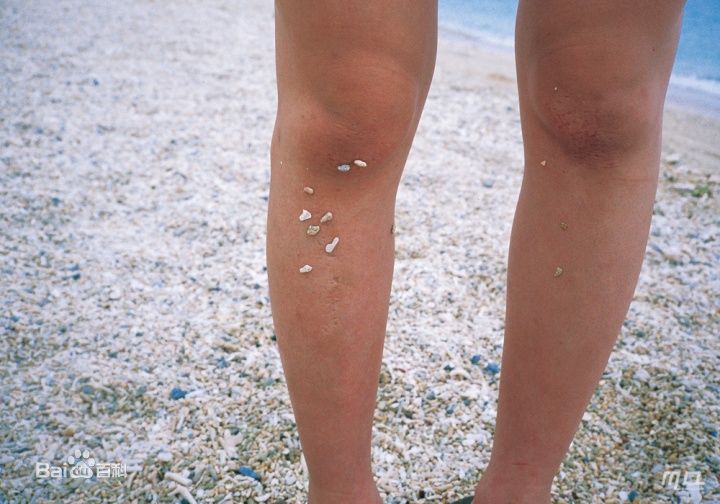 精选加护亚依(Kago Ai (かご あい))精彩图册