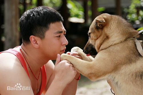 最全董可飞在《飘落的羽毛》中的壁纸