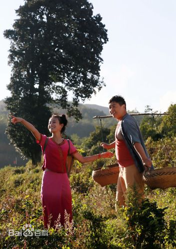 最全董可飞在《飘落的羽毛》中的壁纸