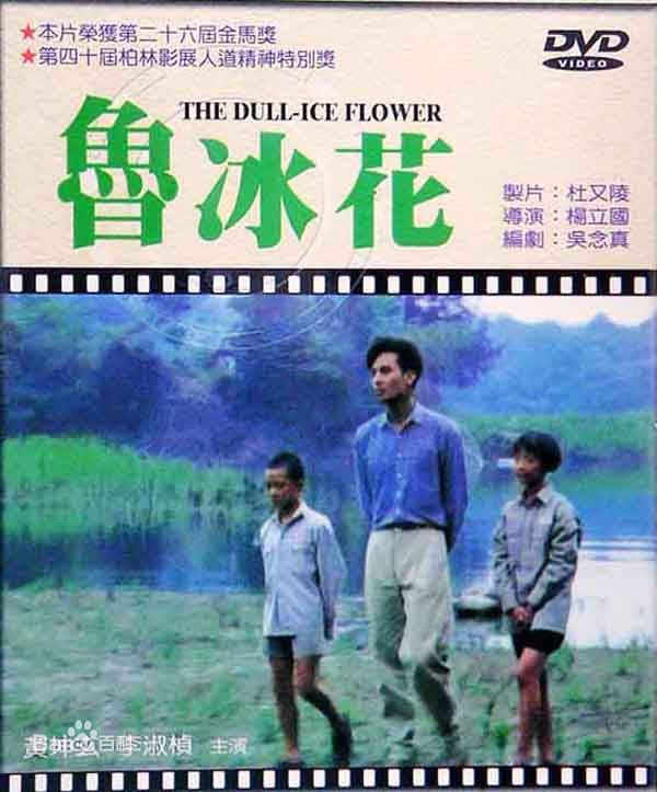 最优质董可飞生活照