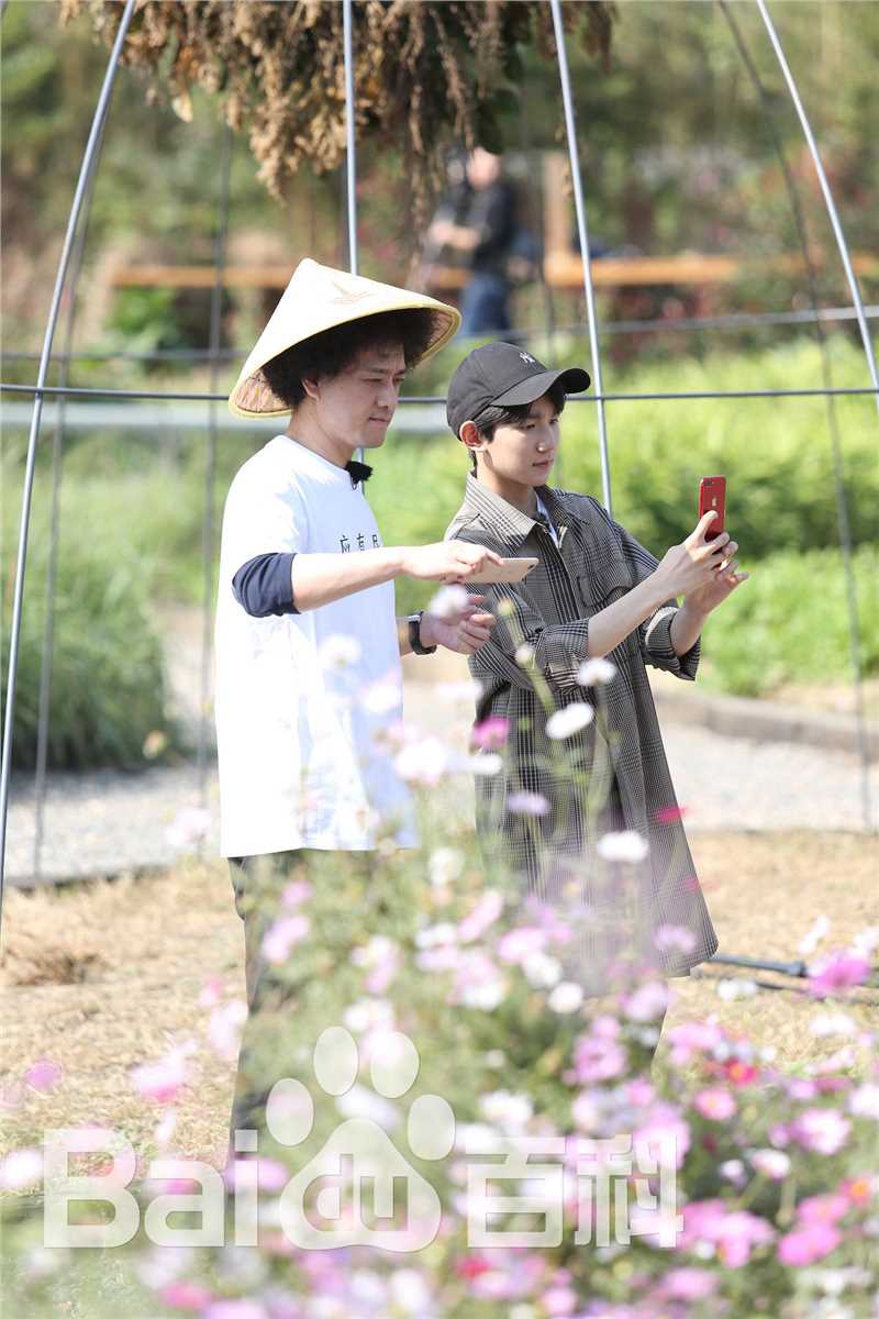 赵英俊《青春旅社》节目高清剧照