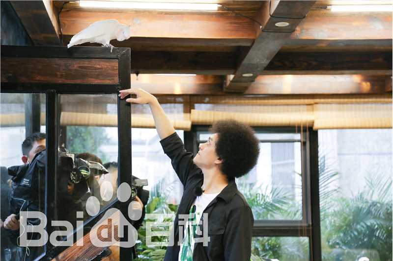 赵英俊《青春旅社》节目高清剧照