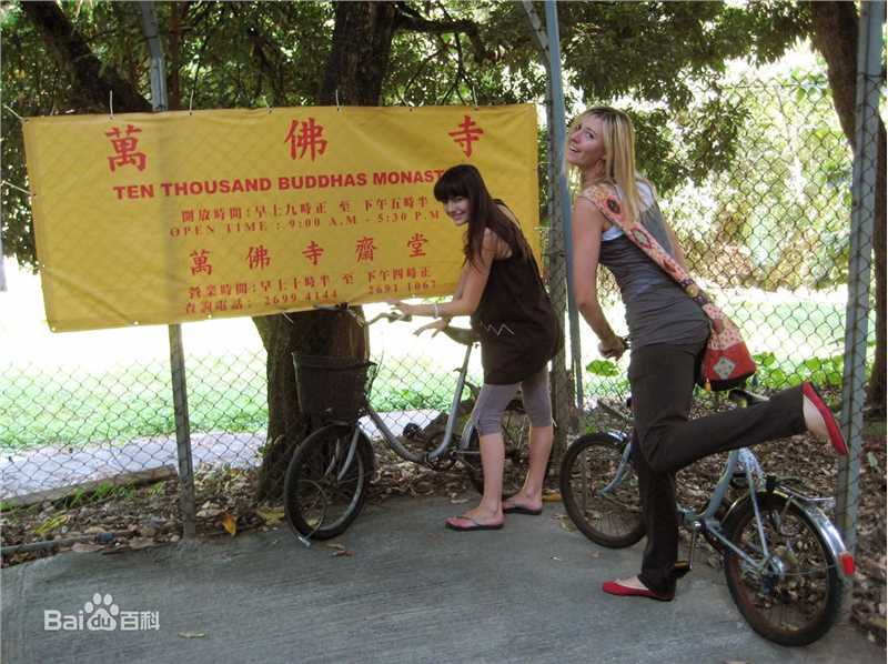 最新卡米拉·贝勒(Camilla Belle)精彩图册2