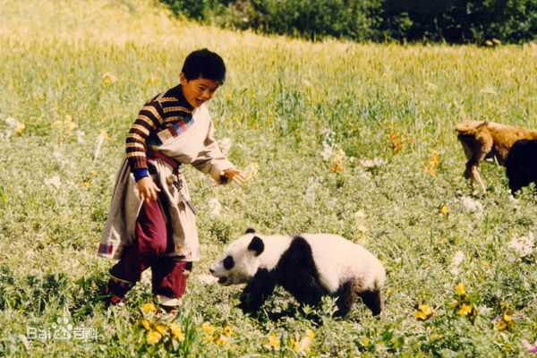 方超出演电影最新剧照