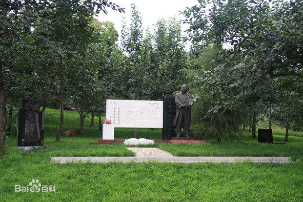 最新梁维周壁纸