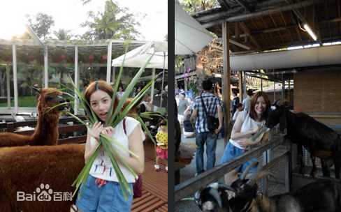 徐怀钰(Yuki Hsu)生活照生活照相册