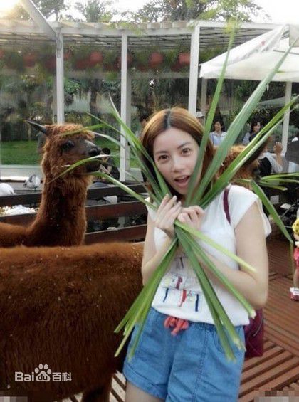 徐怀钰(Yuki Hsu)生活照生活照相册