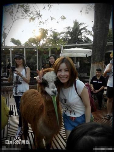 徐怀钰(Yuki Hsu)生活照生活照相册